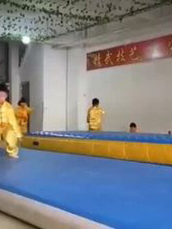 (พรีออเดอร์) เบาะเทควันโด ยิมนาสติก TCD10688