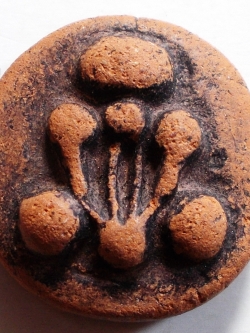 พระปิดตา เนื้อดินผสมผงกระดูกผี อจ.หนู วัดโพธิ์ท่าเตียน #lnw220