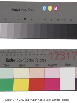 Kodak Q-14 Gray Scale Chart Kodak Color Control Patches