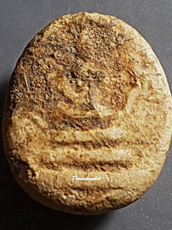 พระเม็ดบัว เนื้อผงน้ำมัน กรุวัดอัมพวา