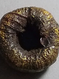 ตะกรุดพิสมร ลพ.แก้ว วัดพวงมาลัย #lnw747