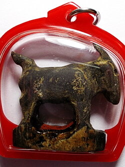 แพะเขาควายแกะเก่าๆในเลี่ยมเดิม