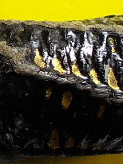 ตะกรุดโทนเก่าๆ สายพิจิตร