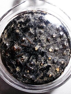 งบน้ำอ้อย เนื้อดินจุ่มรัก ลป.ยิ้ม วัดเจ้าเจ็ด อยุธยา ปี 2475