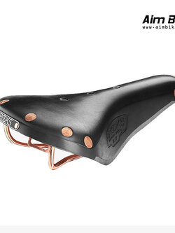 อานหนังแท้รางทองแดง Brooks B17 Special Copper
