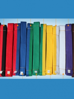 (พรีออเดอร์) สายเทควันโด Taekwondo TCD10011-2P สีทรูโทน