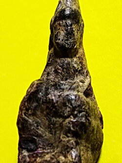 พระว่านจำปาสัก #lnw927