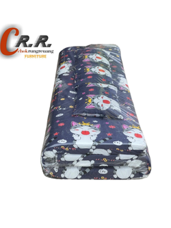 ที่นอนปิคนิค 5ฟุต หนา 2.5"