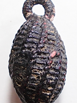 หมากทุย ลป.เอี่ยม วัดหนัง #lnw371