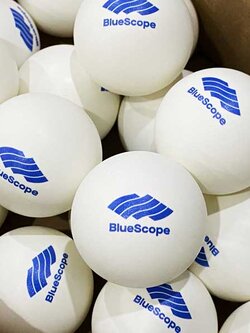 พิมพ์ลูกปิงปอง ลูกปิงปองพิมพ์