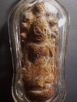 พระนาคปรก กรุพระธาตุนาดูน มหาสารคาม ในเลี่ยมเดิมพร้อมบูชา