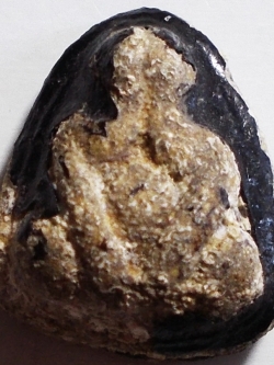 ปิดตา เนื้อผง หลวงพ่อทับ วัดอนงคาราม #lnw202