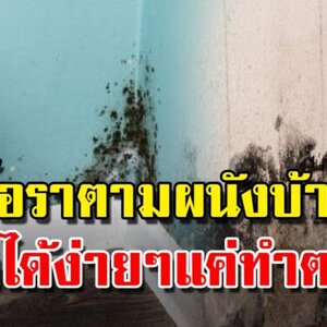 แม่บ้านควรรู้ไว้ วิธีล้างคราบบนผนังกำแพงบ้าน ให้สะอาดเหมือนทาสีใหม่